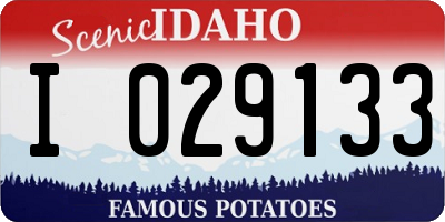 ID license plate I029133