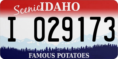 ID license plate I029173
