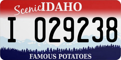 ID license plate I029238