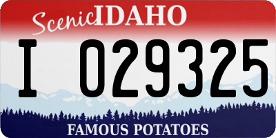 ID license plate I029325