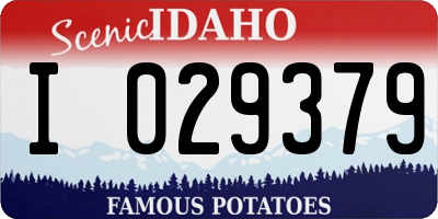 ID license plate I029379