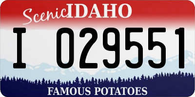 ID license plate I029551