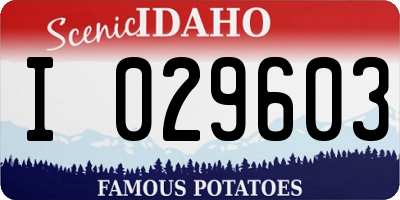 ID license plate I029603