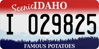 ID license plate I029825