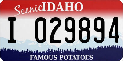 ID license plate I029894