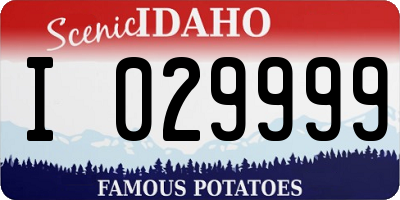 ID license plate I029999