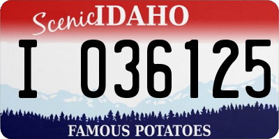 ID license plate I036125
