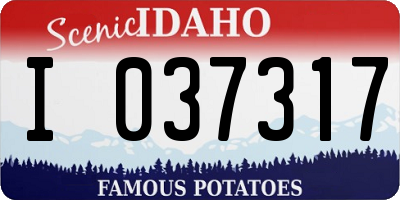 ID license plate I037317