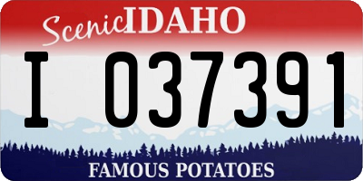 ID license plate I037391