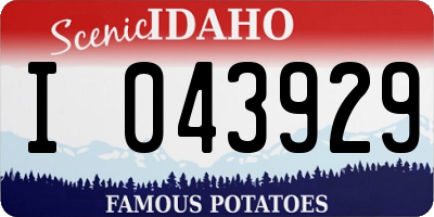 ID license plate I043929