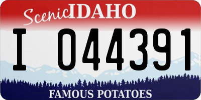 ID license plate I044391