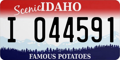 ID license plate I044591
