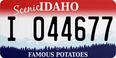 ID license plate I044677