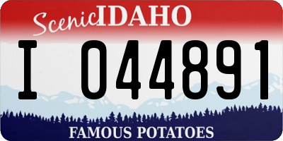 ID license plate I044891