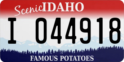 ID license plate I044918