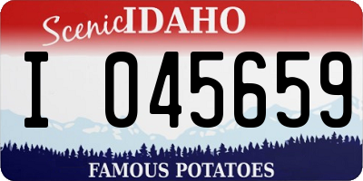 ID license plate I045659