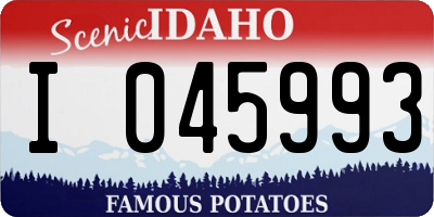 ID license plate I045993