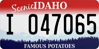 ID license plate I047065