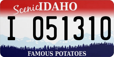 ID license plate I051310