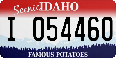 ID license plate I054460