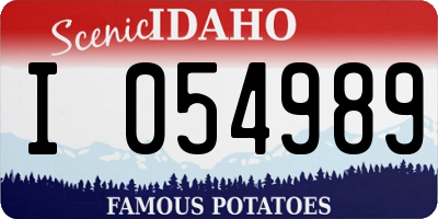 ID license plate I054989