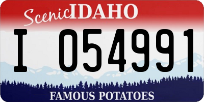 ID license plate I054991