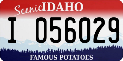 ID license plate I056029