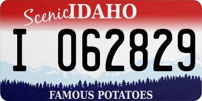 ID license plate I062829
