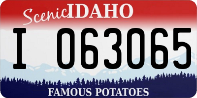 ID license plate I063065