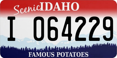 ID license plate I064229