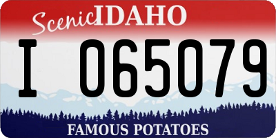 ID license plate I065079