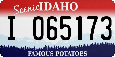 ID license plate I065173