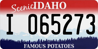 ID license plate I065273