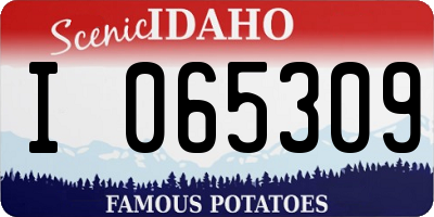 ID license plate I065309