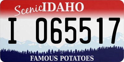 ID license plate I065517