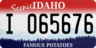 ID license plate I065676