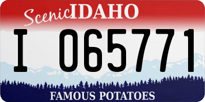 ID license plate I065771