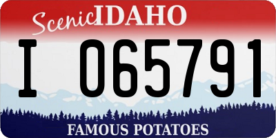 ID license plate I065791