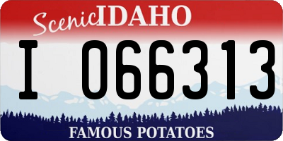 ID license plate I066313