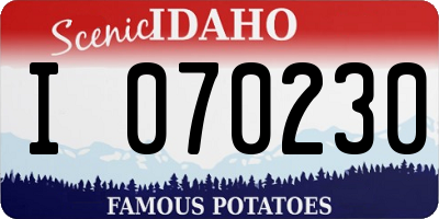 ID license plate I070230