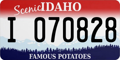 ID license plate I070828