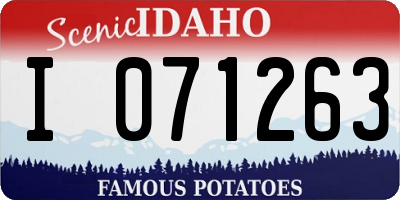 ID license plate I071263
