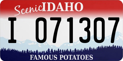 ID license plate I071307