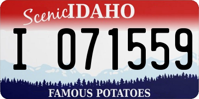 ID license plate I071559
