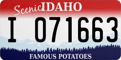 ID license plate I071663
