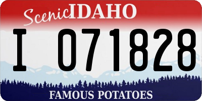 ID license plate I071828