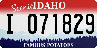 ID license plate I071829