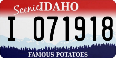 ID license plate I071918