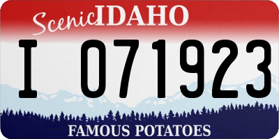 ID license plate I071923