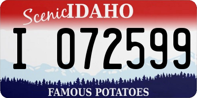 ID license plate I072599
